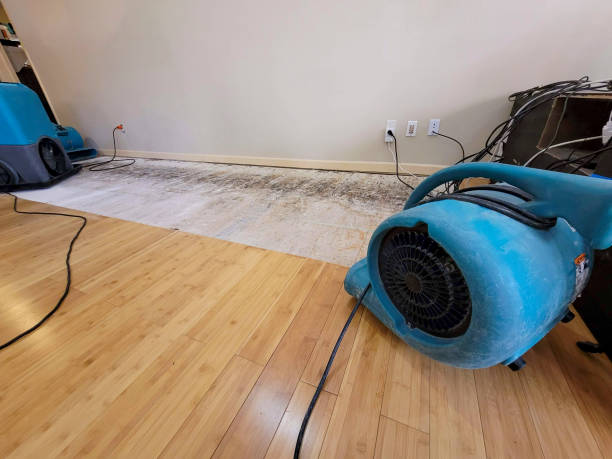 Professional Water Damage Repair technician working in LaGrange, OH